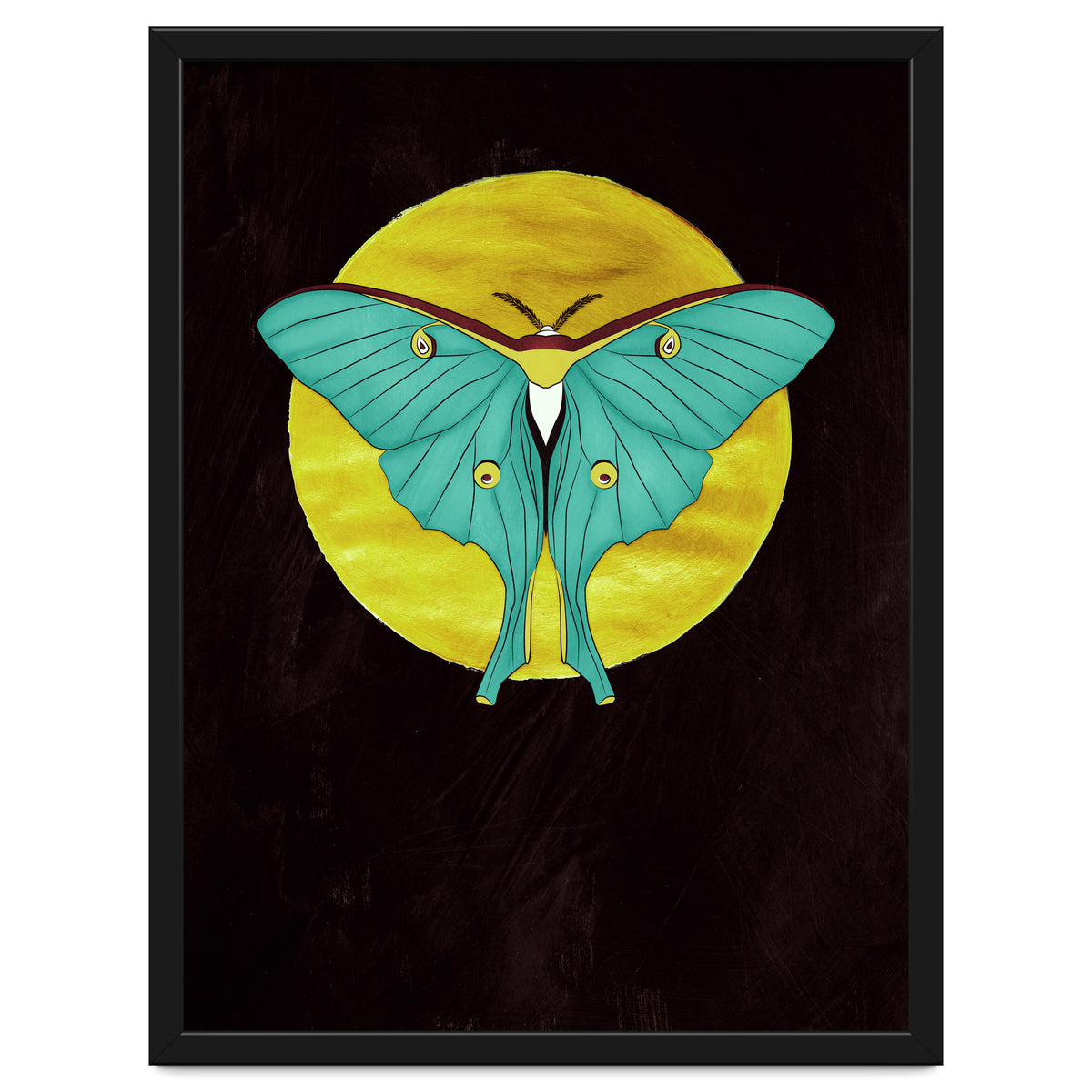 Luna Moth Moon