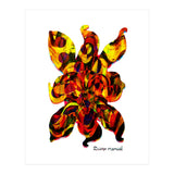 Pop Abstract 2023 91 Copia (Print Only) thumbnail
