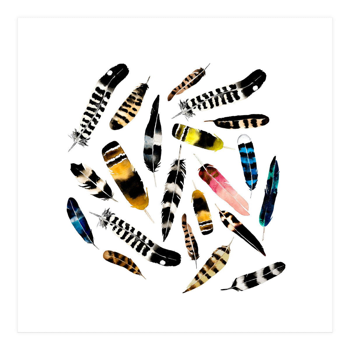 Feather Fusion  (Print Only)