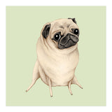 Sweet Fawn Pug (Print Only) thumbnail
