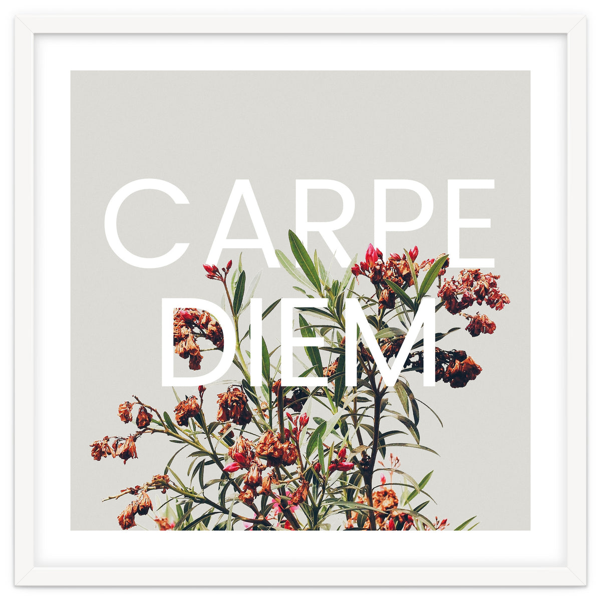 Carpe Diem