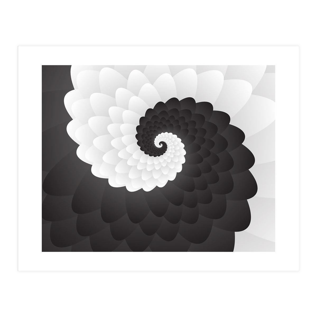 Mono Chrome Spiral Pattern  (Print Only)