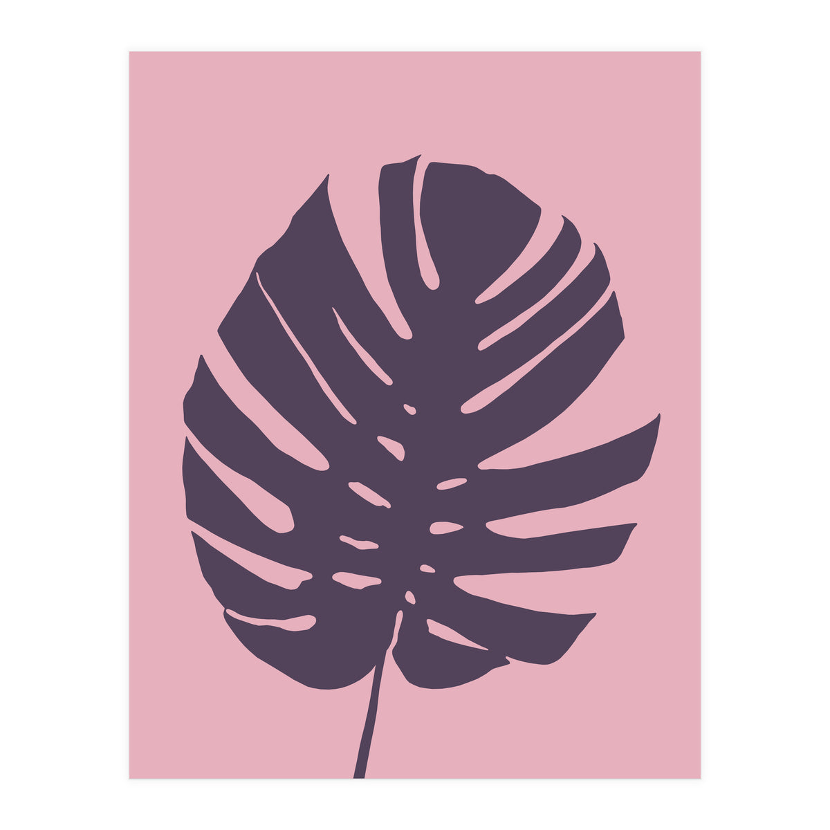 Monstera Deliciosa III (Print Only)