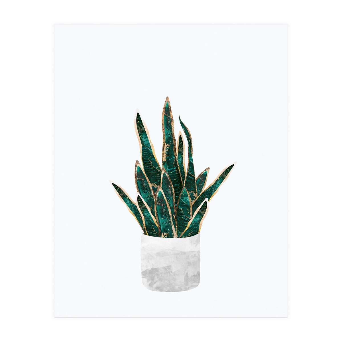 Snake Plant gold and green (Print Only)
