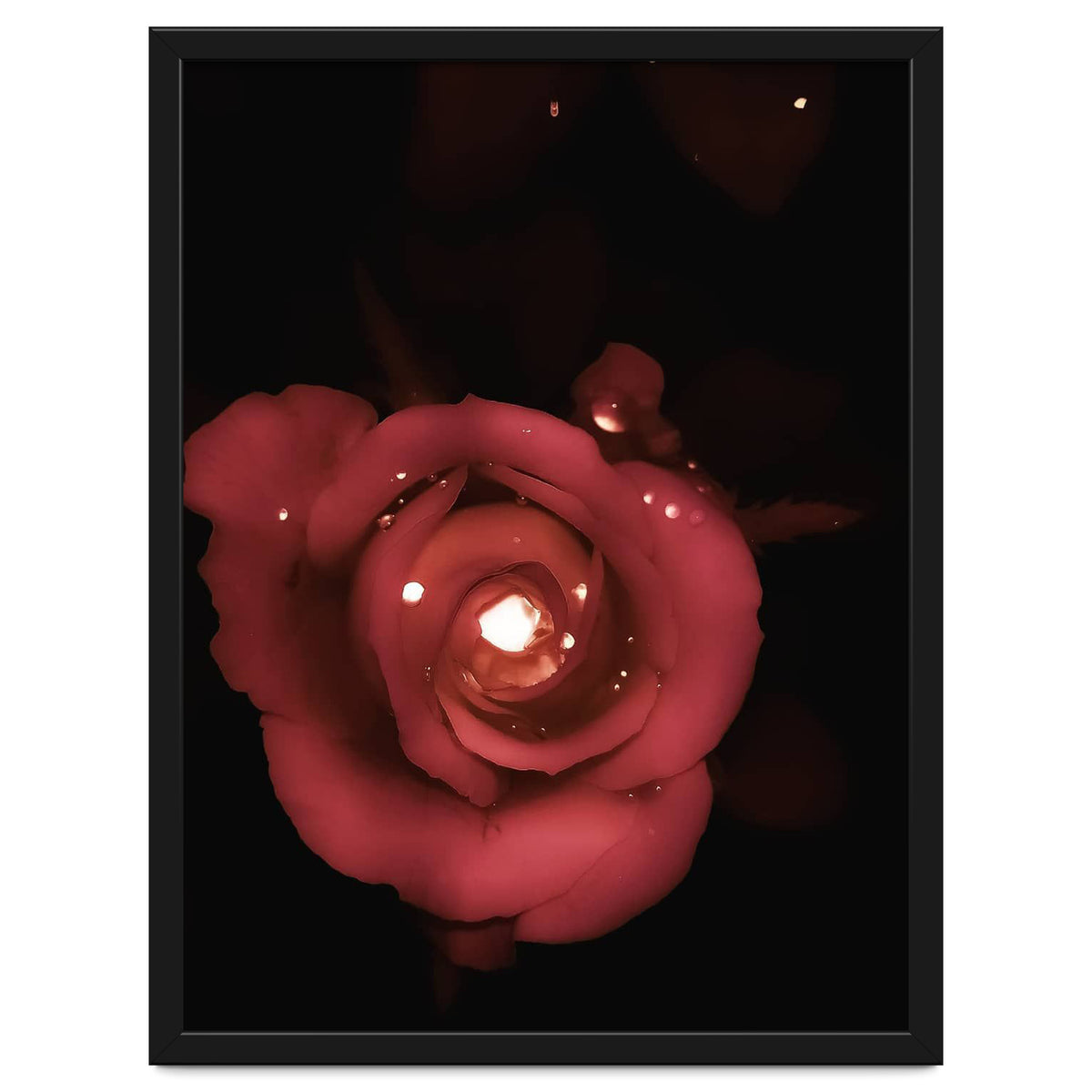Lighting Rose