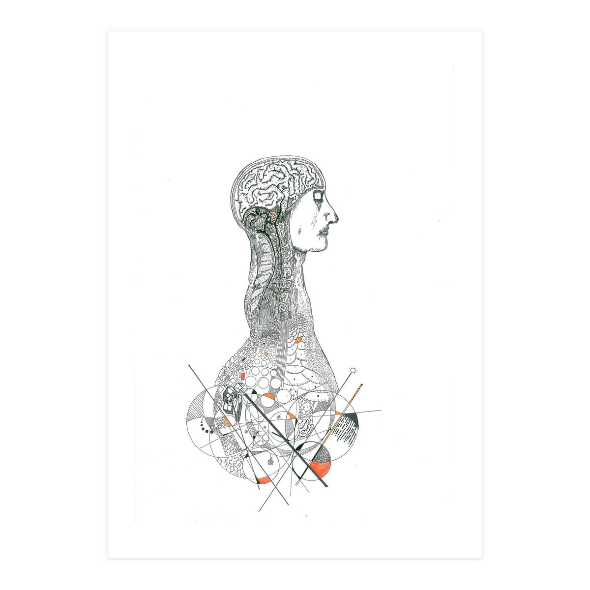 Anatomy (Print Only)