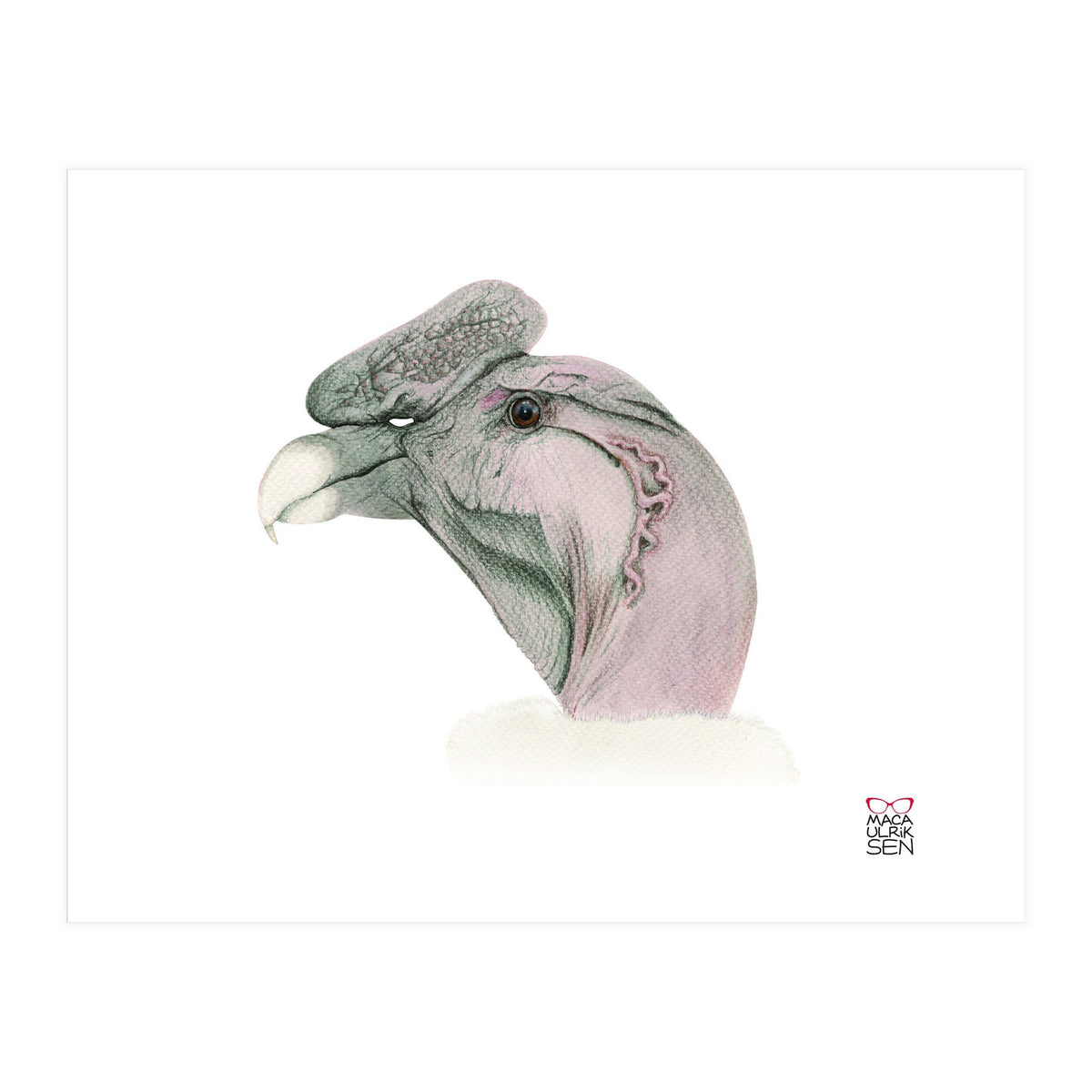 Andean condor (Print Only)