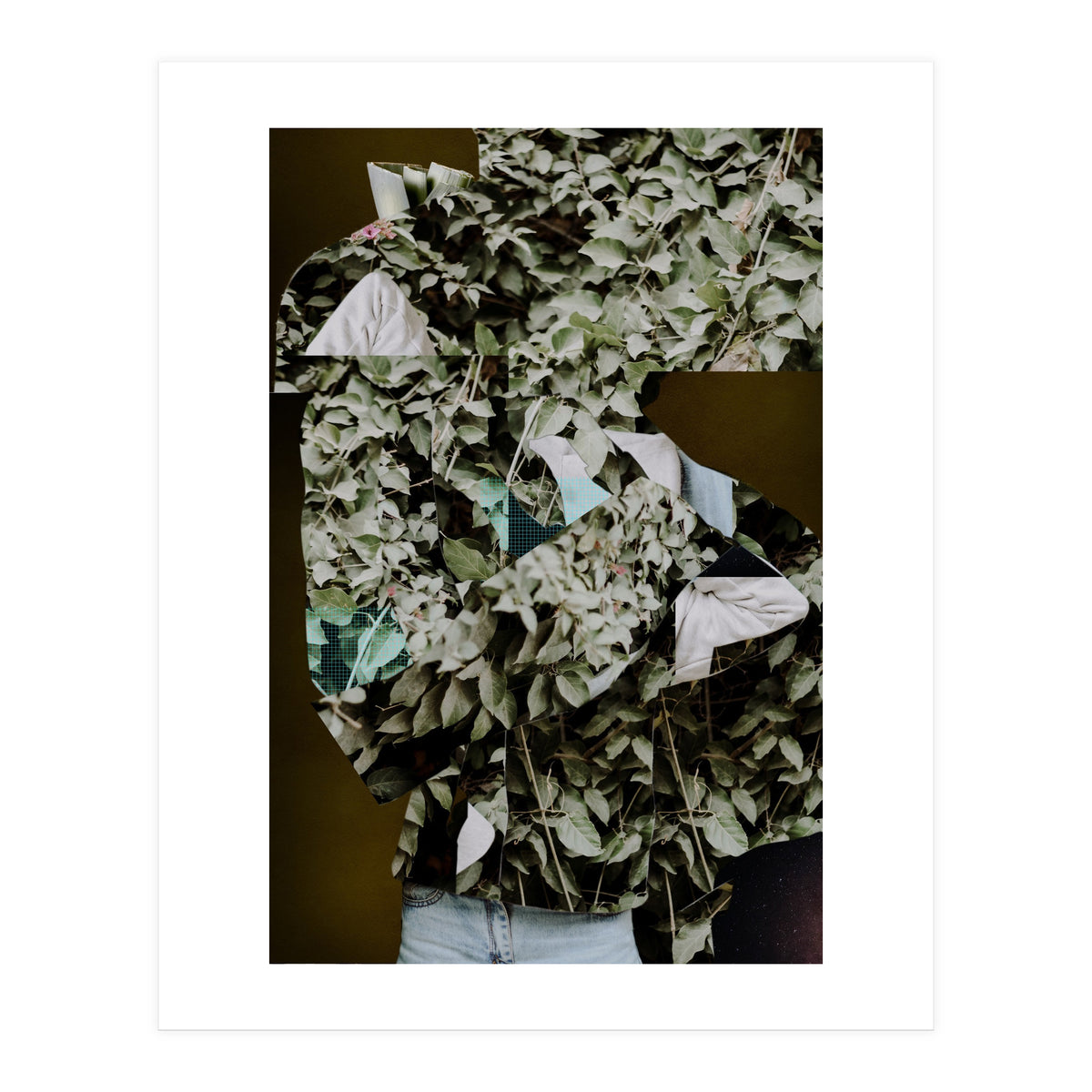 Disappeared Dreams 2 (Print Only)