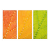 Autumn Leaves (Print Only) thumbnail