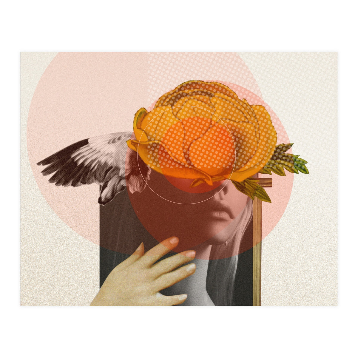 Dreamland Division · C (Print Only)