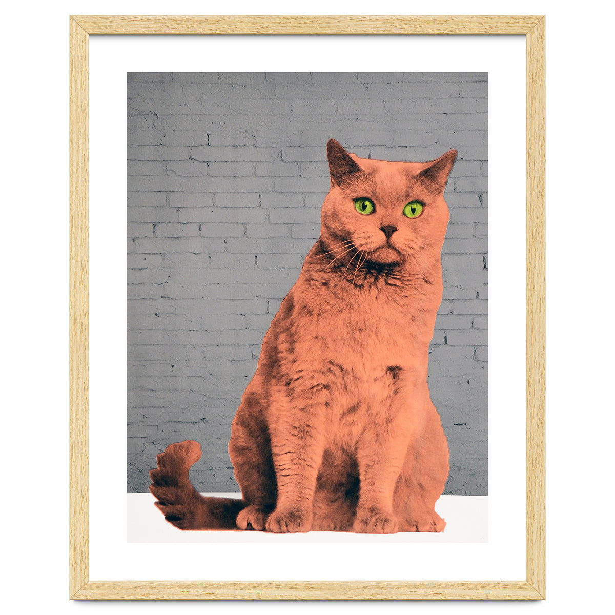 Everybody Wants To Be A Cat