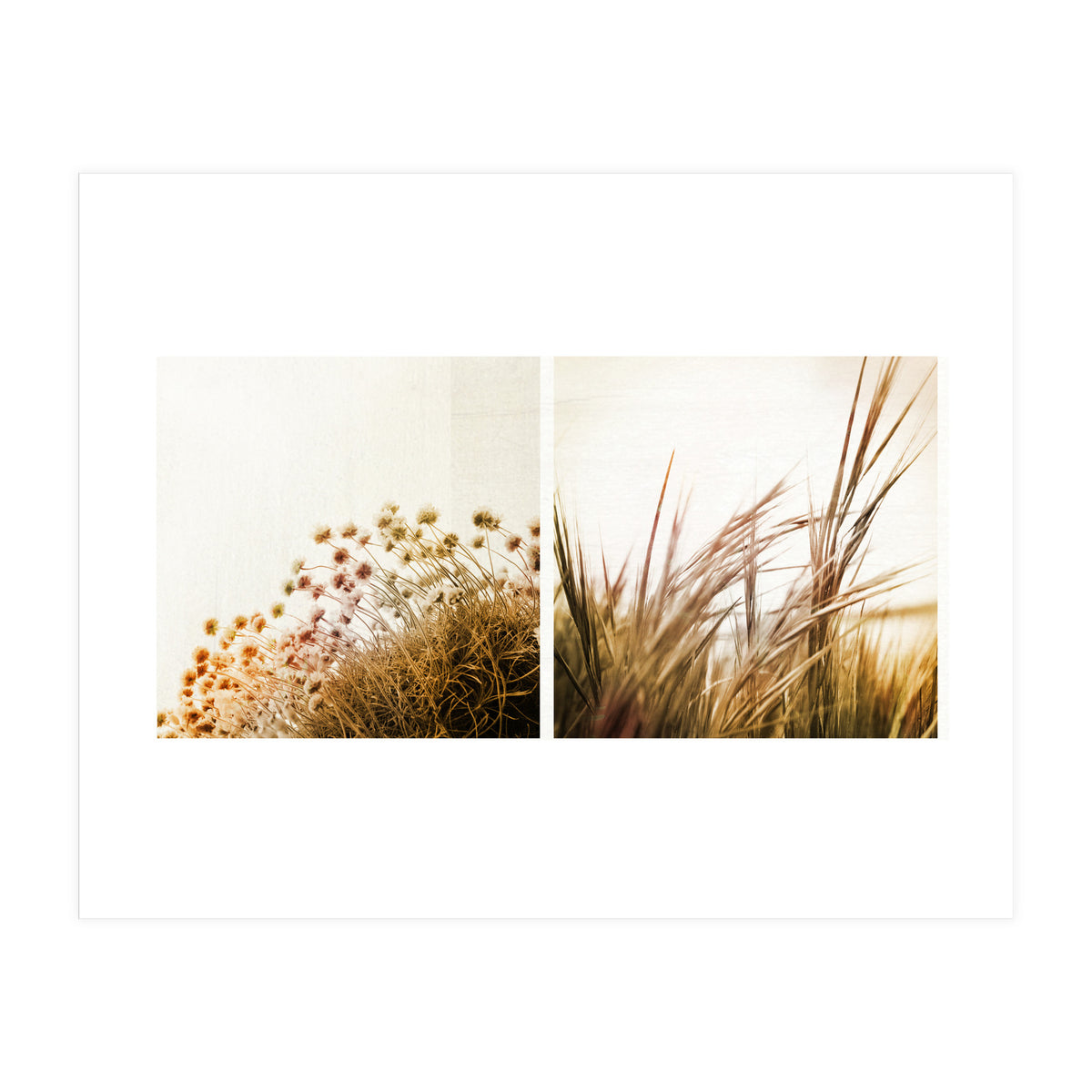Adagio (Print Only)
