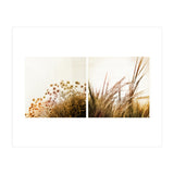 Adagio (Print Only) thumbnail