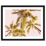 Blush Pink Boho Palm Trees thumbnail
