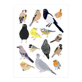 UK Birds in Glasses (Print Only) thumbnail