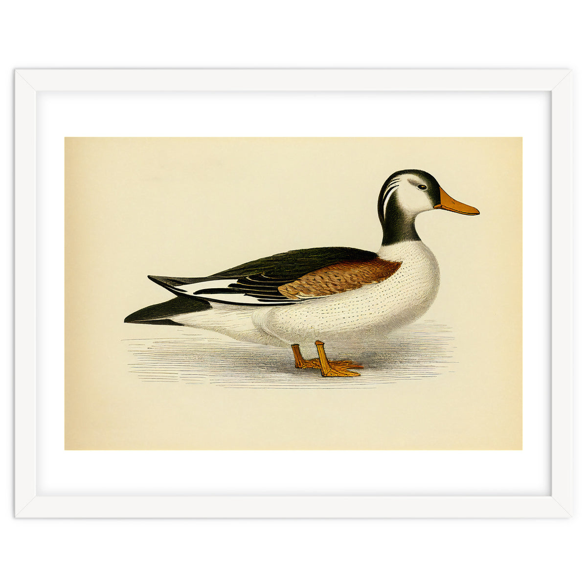 Vintage Duck Painting