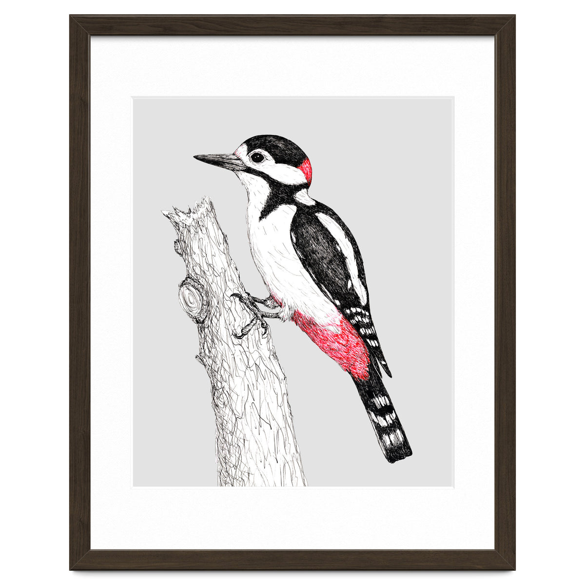 Great spotted woodpecker