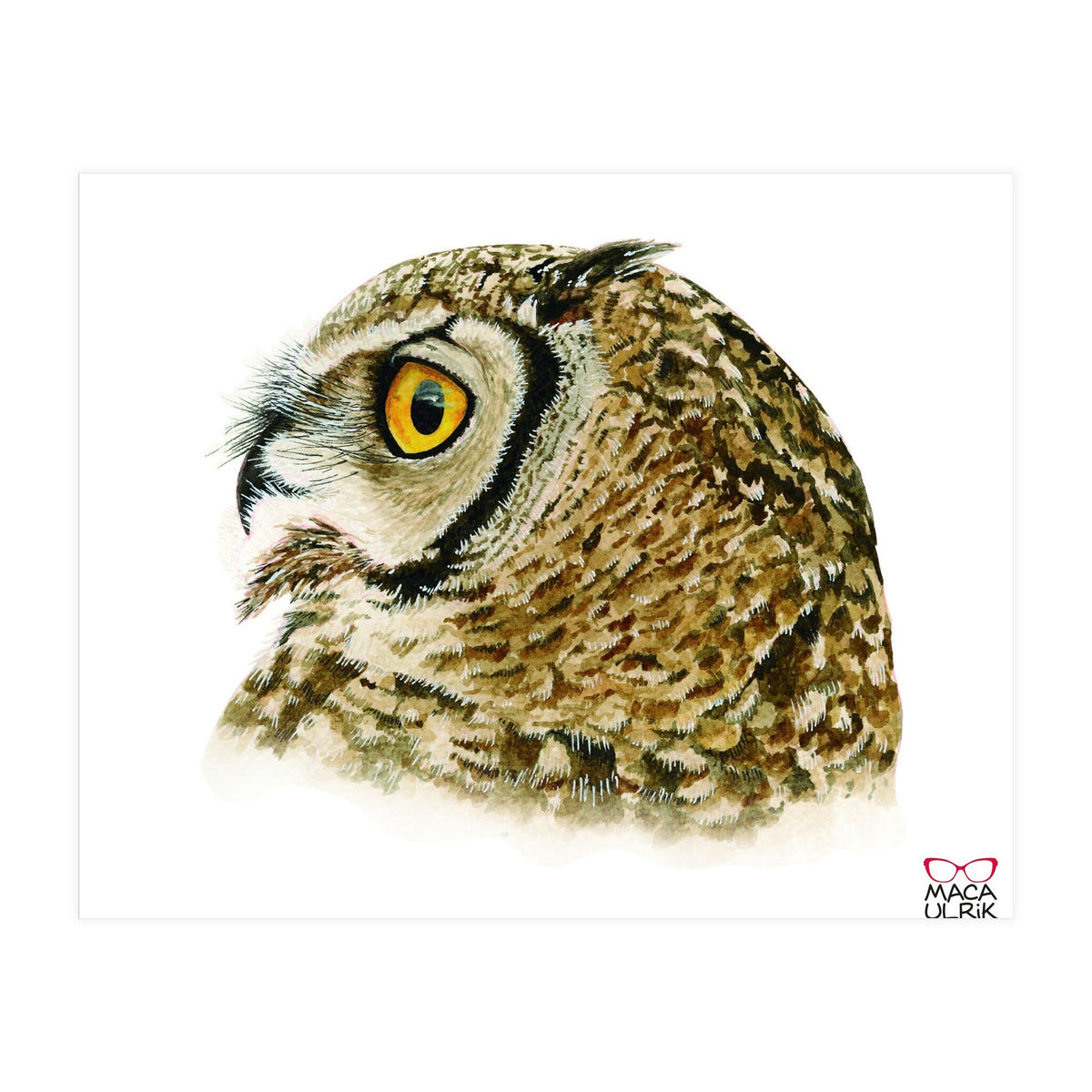 Lesser horned owl  (Print Only)