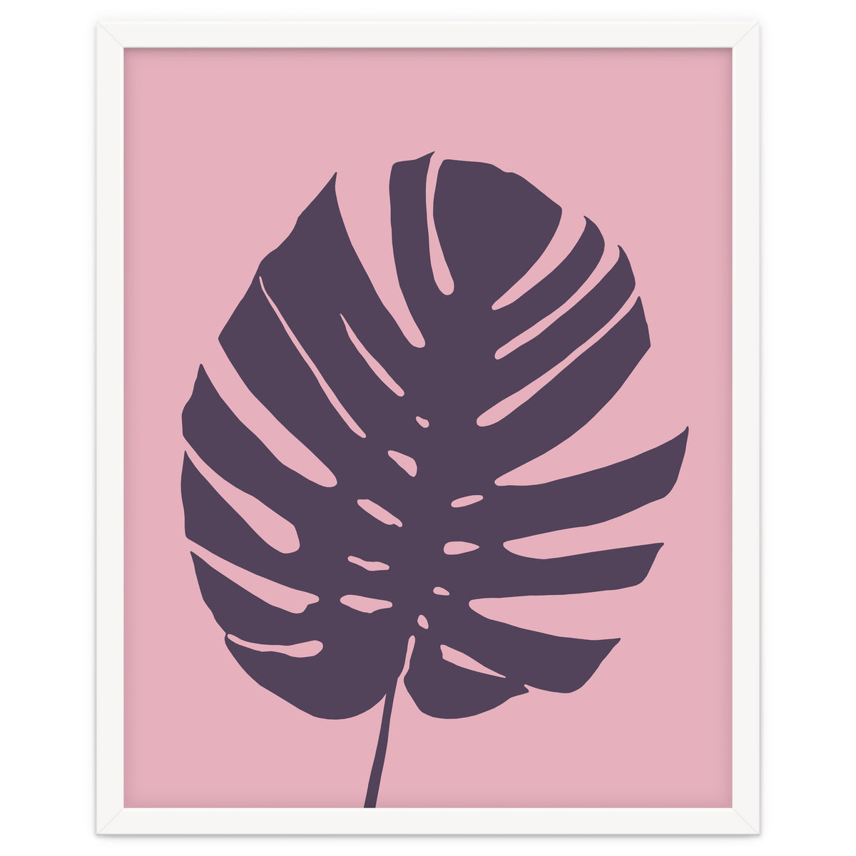 Monstera Deliciosa III