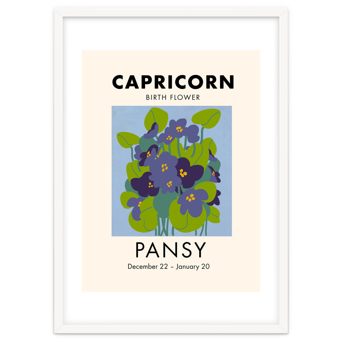 Capricorn Birth Flower Pansy