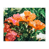 Blossoming Florals (Print Only) thumbnail