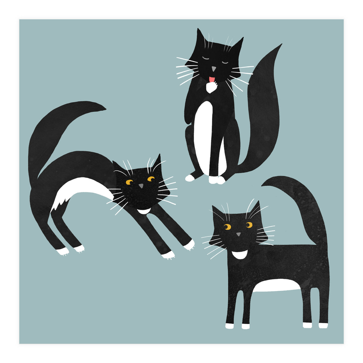Black and White Tuxedo Cats (Print Only)