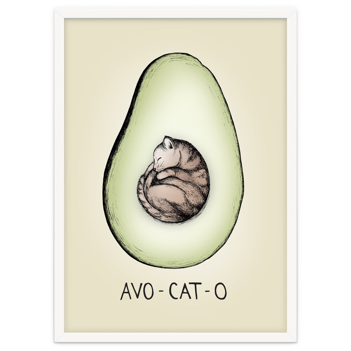 Avo-cat-o