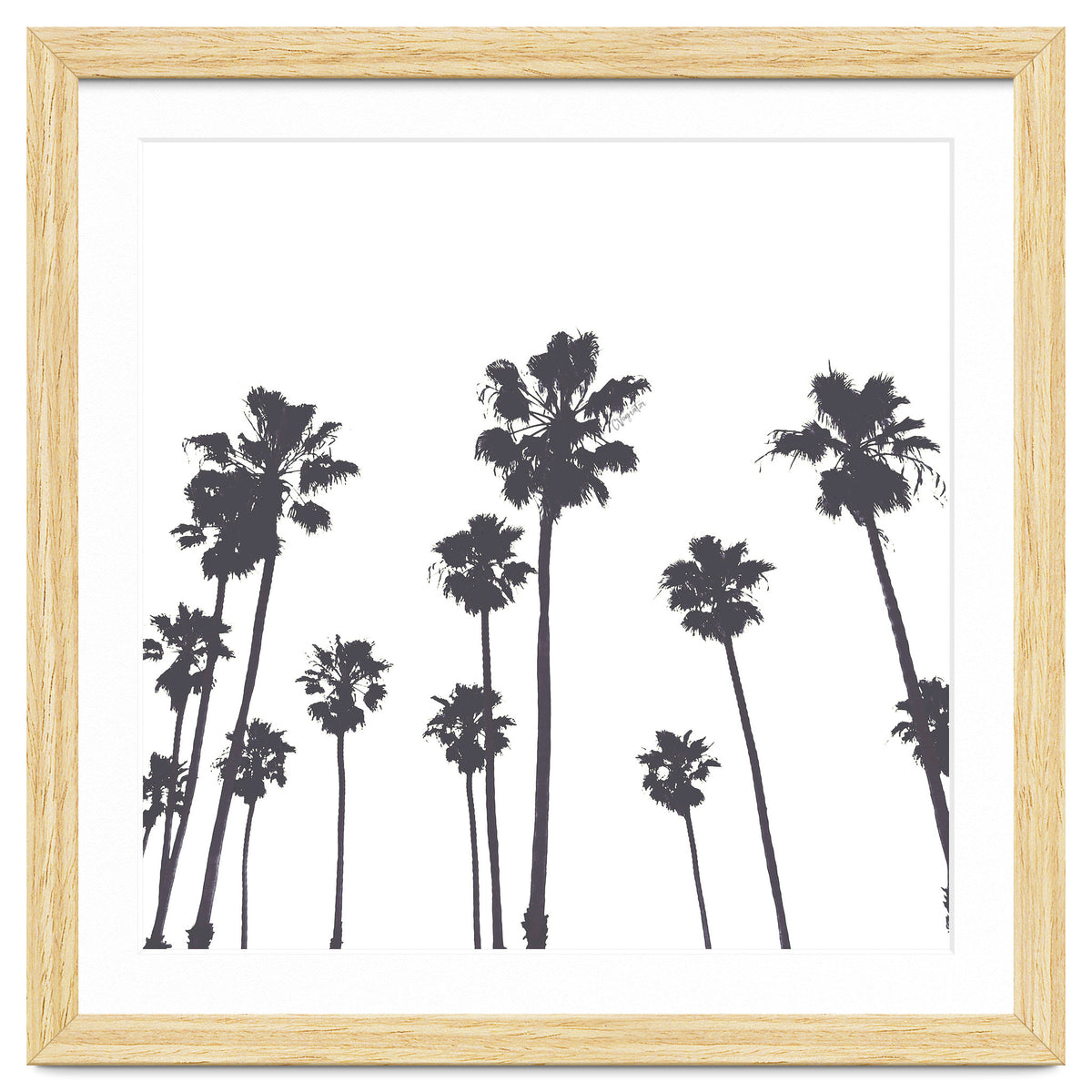 Palms & Sunset-Minimal B&W