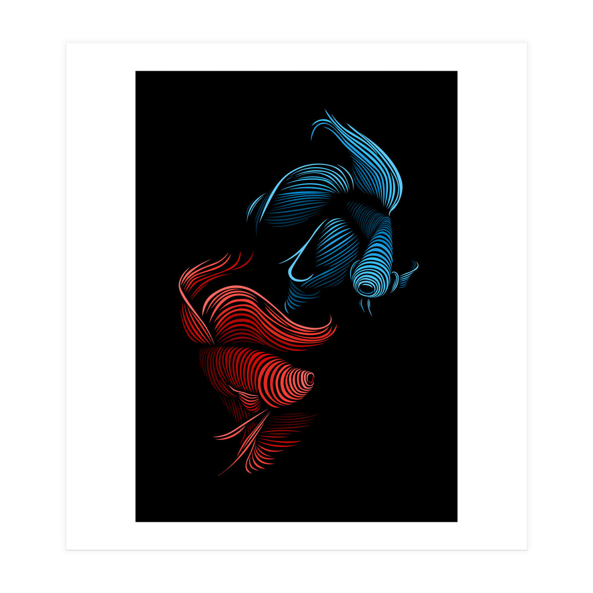 bettas fight (Print Only)