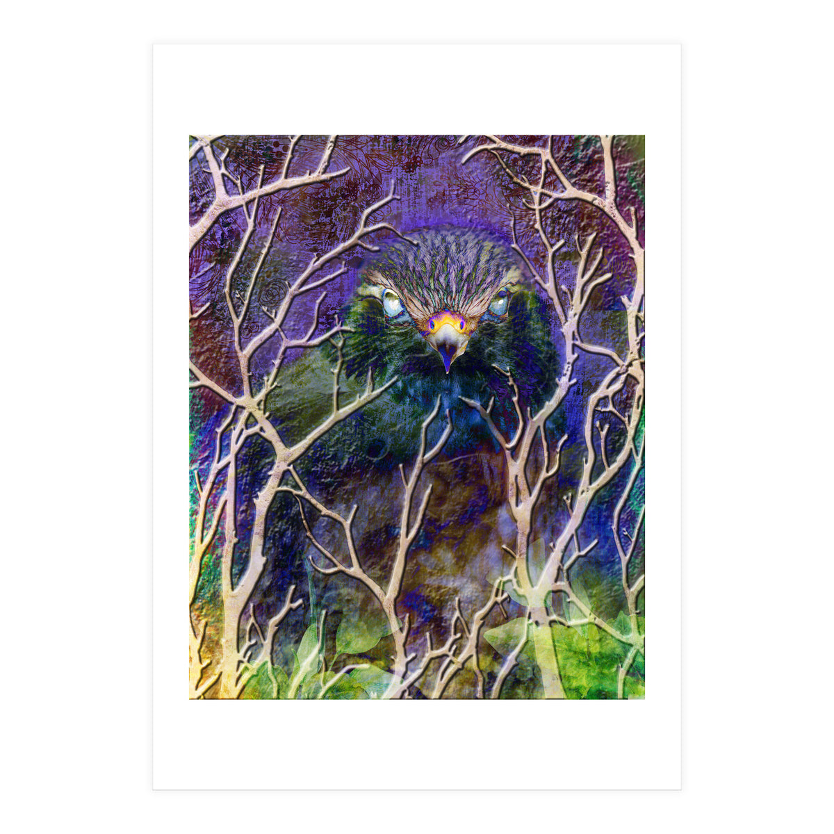 Dead Of Night (Print Only)