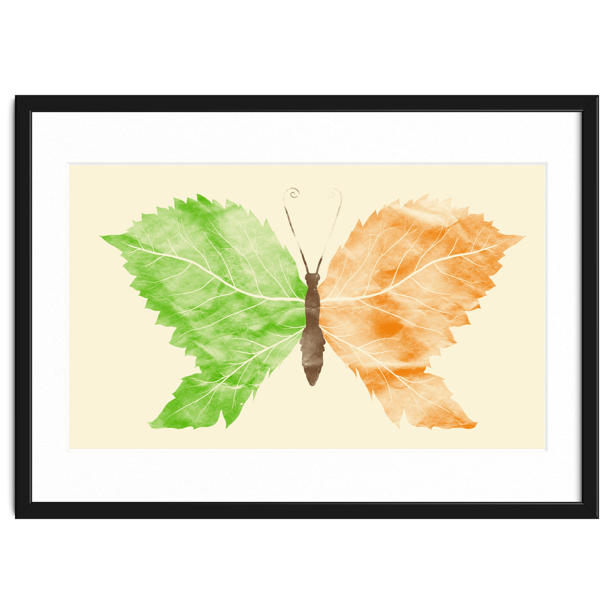 Seasons Change Time Flies