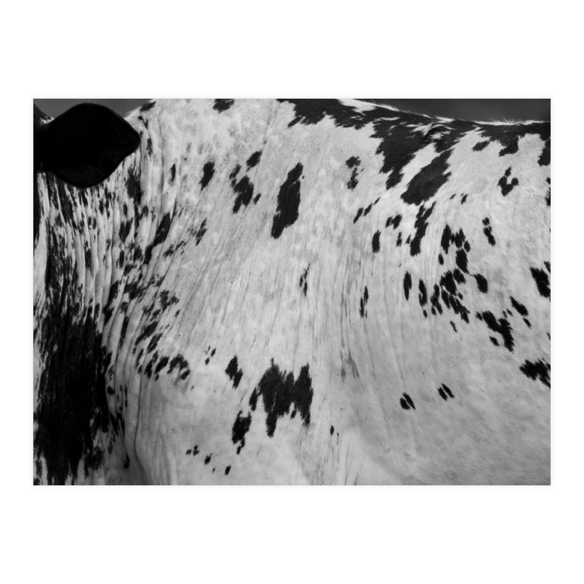 Abstract #3 (Print Only)