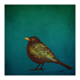 Camouflage: The Blackbird (Print Only) thumbnail