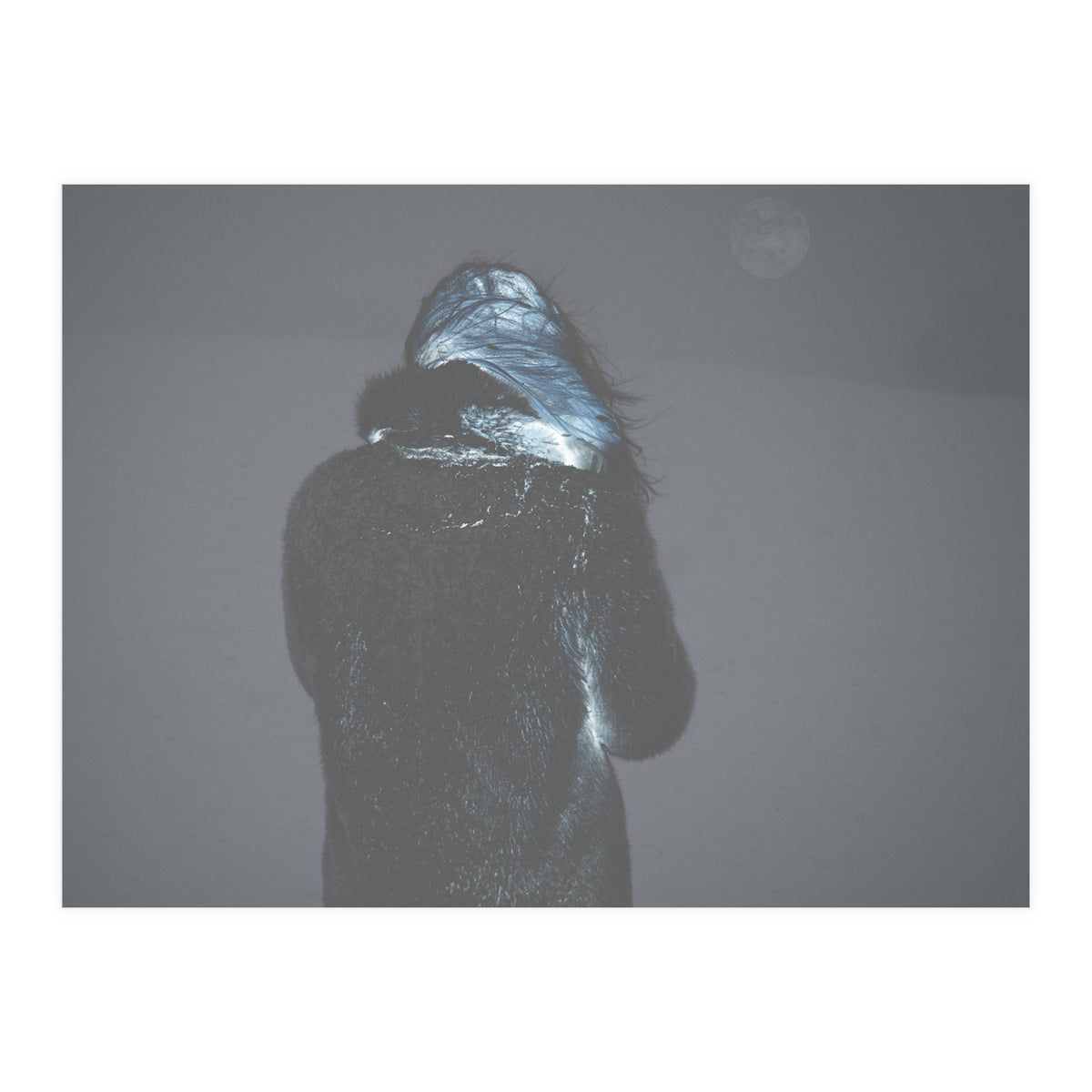 Metamorphosis (Print Only)