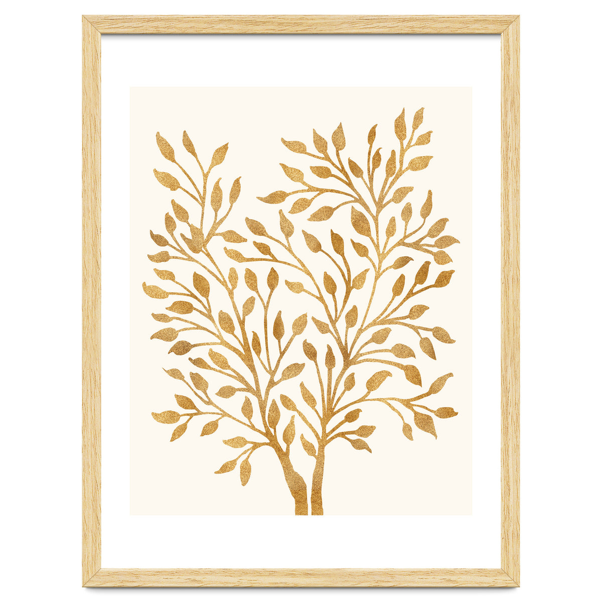 Golden Ficus 4x5