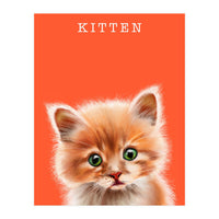 Kitten (Print Only)