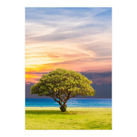 TREE with Great SKY (Print Only)