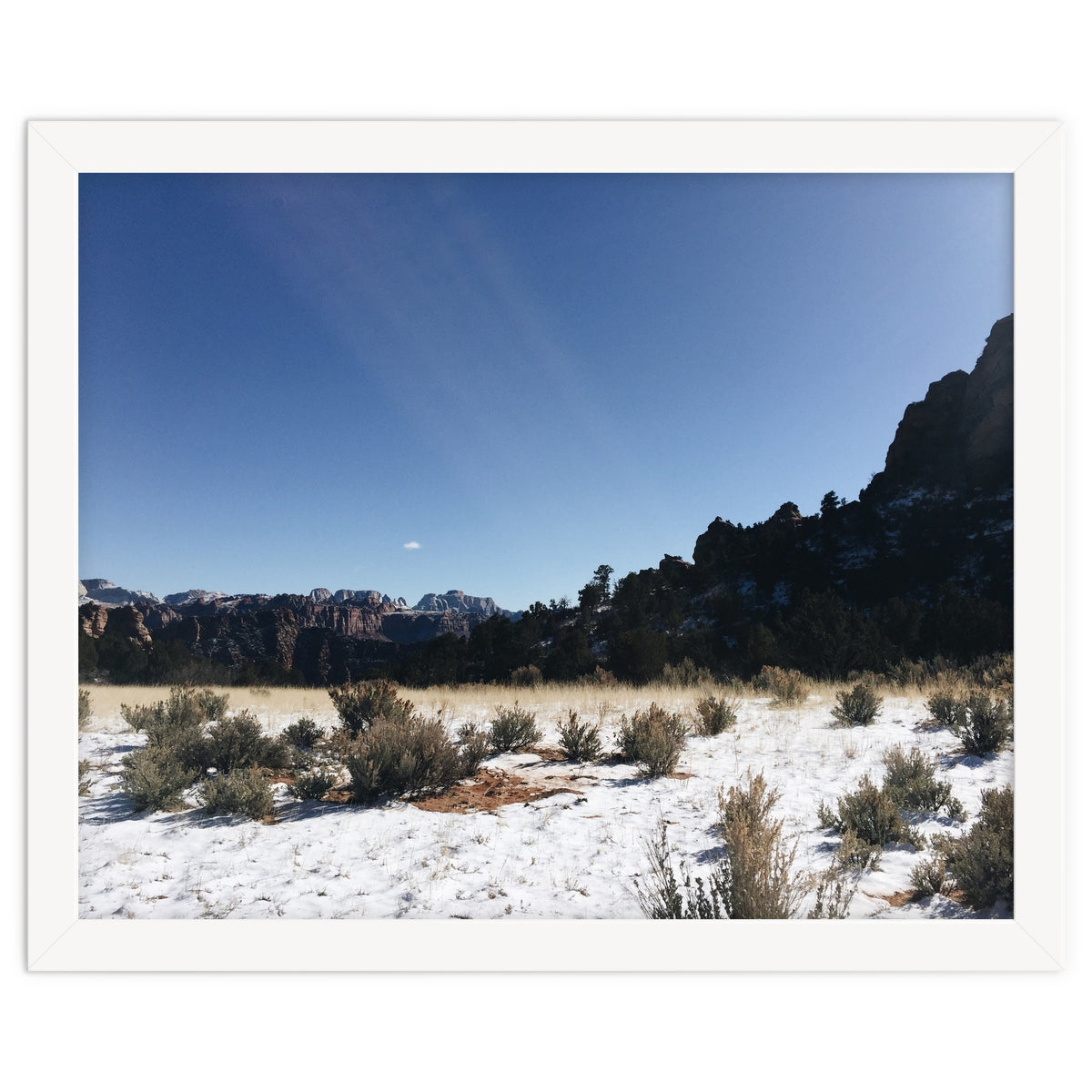 Zion National Park II