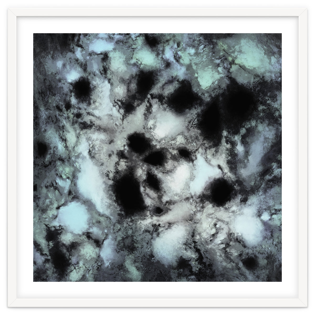 Searching For Animal Tracks