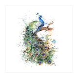 Peacock - Wildlife Collection (Print Only) thumbnail