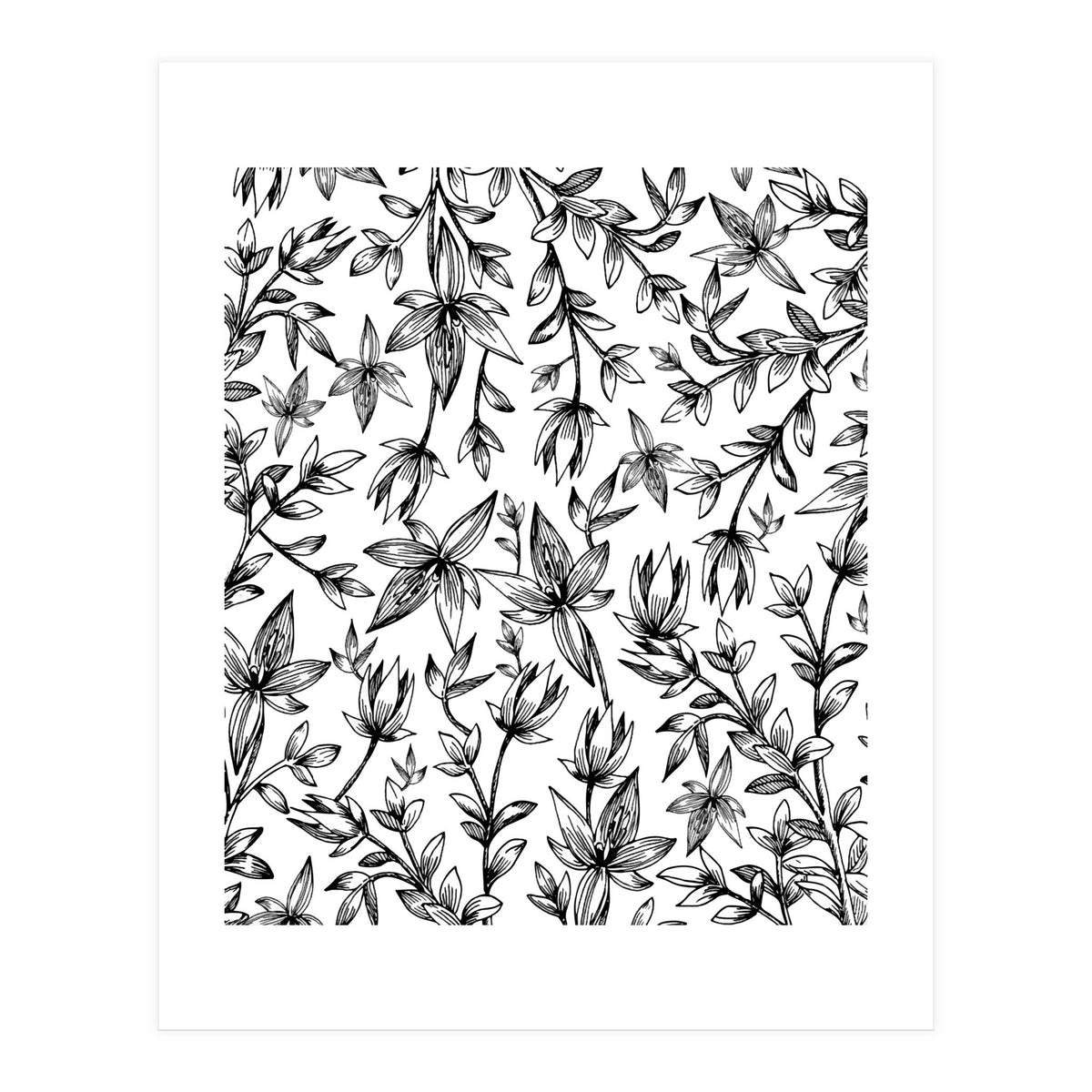 Veli V2 (Print Only)