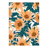 Blush Sunflowers (Print Only) thumbnail