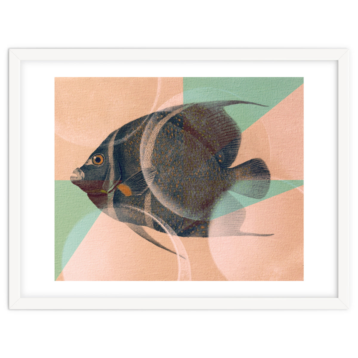 Fish Between Circles 2