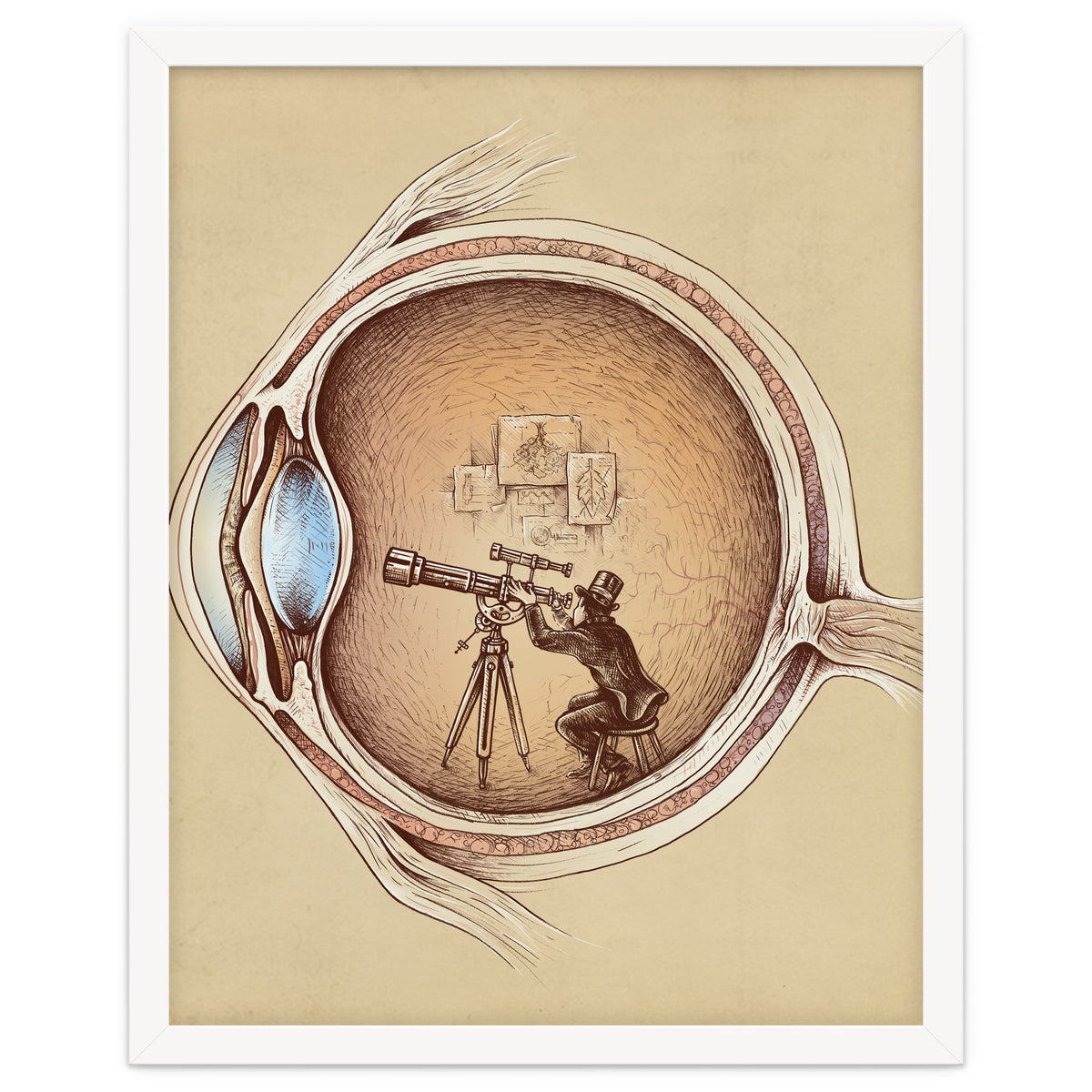 Extraordinary Observer