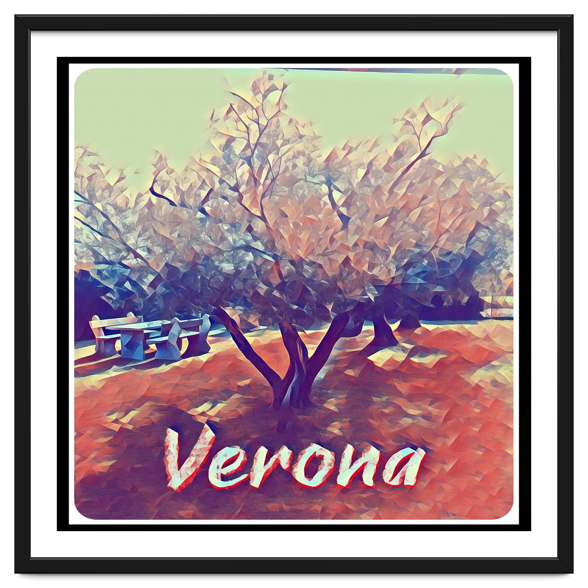 Olive Tree In Verona