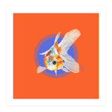Koi Carp (Print Only) thumbnail
