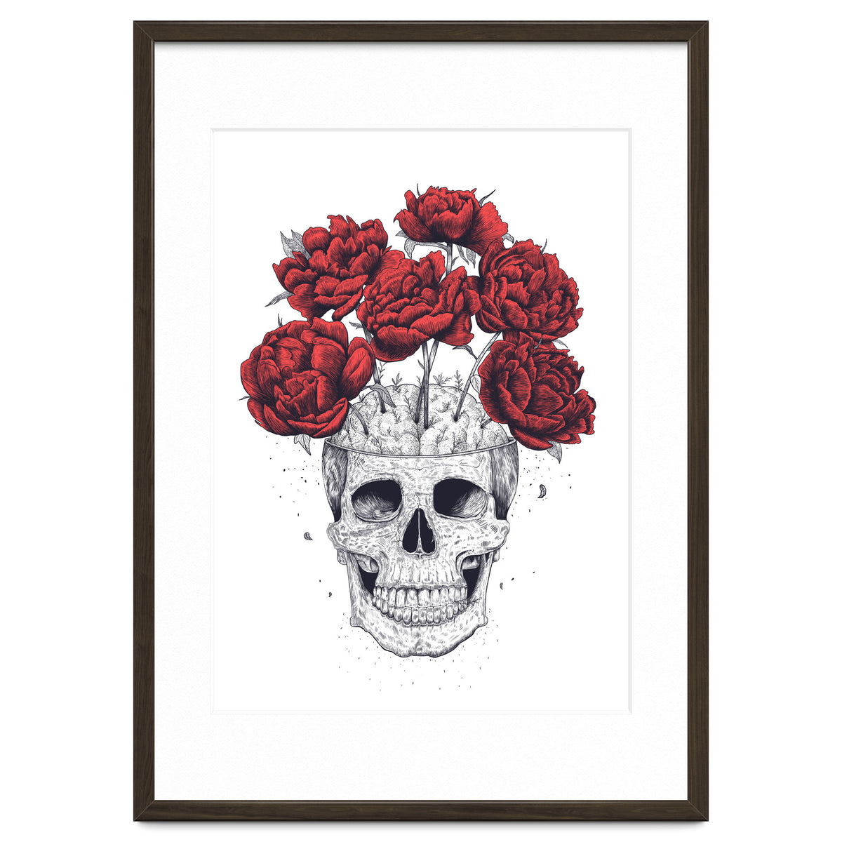 Skull With Peonies