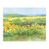 Sunflowers field  (Print Only) thumbnail