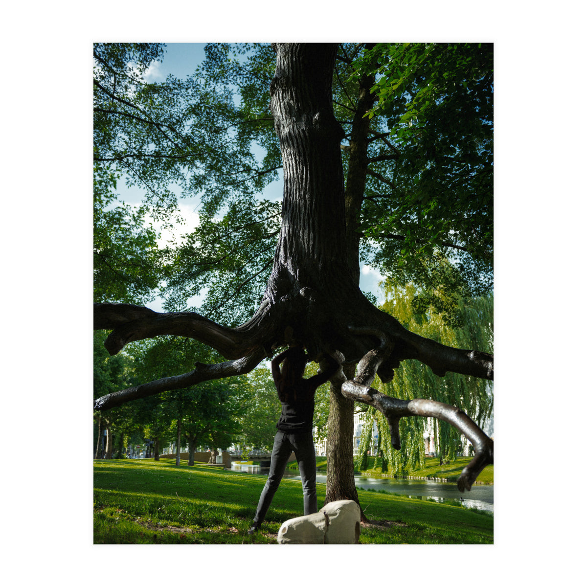 The Devil's Tree (Print Only)