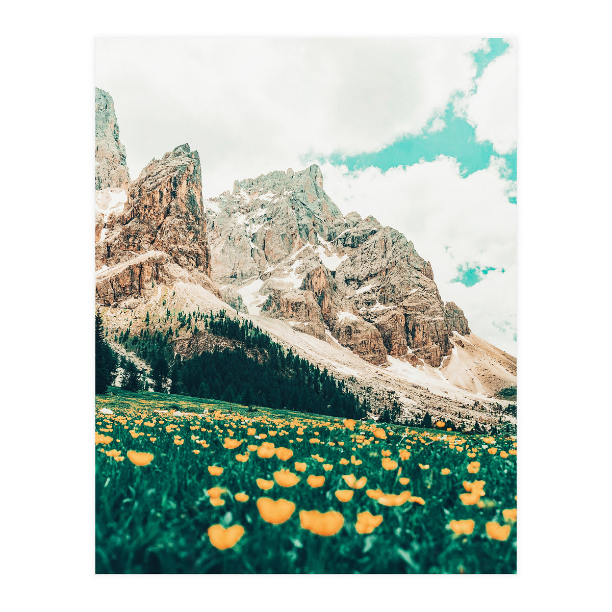 Hillside Meadow (Print Only)